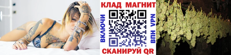 Виды наркотиков купить Нововоронеж блэк спрут сайт Амфетамин Alpha-PVP Каннабис Гашиш Мефедрон Cocaine Псилоцибиновые грибы