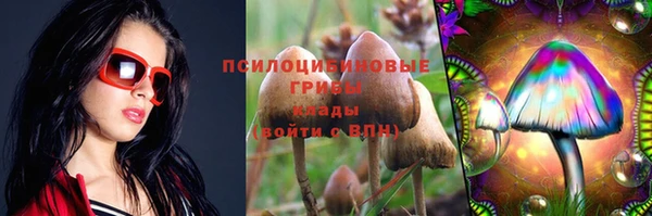 винт Алзамай