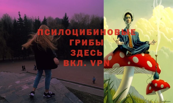 ECSTASY Алексин