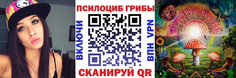 где купить   Нововоронеж  Псилоцибиновые грибы MAGIC MUSHROOMS 