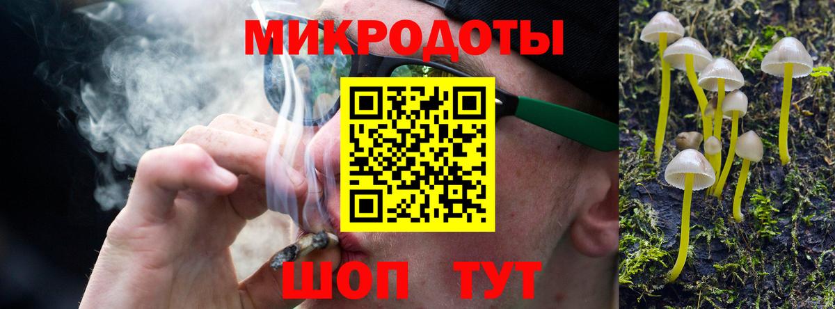 Псилоцибиновые грибы Cubensis Нововоронеж