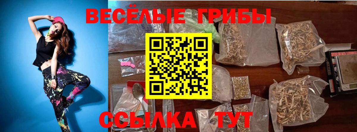 Псилоцибиновые грибы Cubensis  Галлюциногенные грибы Cubensis  закладки  Нововоронеж  Вход с VPN 